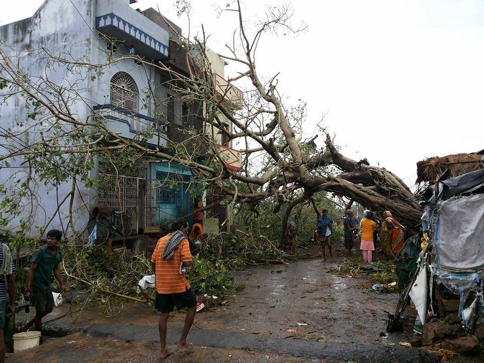 Phailin (12)